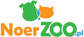 noerzoo.pl